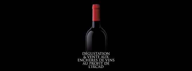 https://ircad-develop.b-cdn.net/enchere_vin-1.jpg