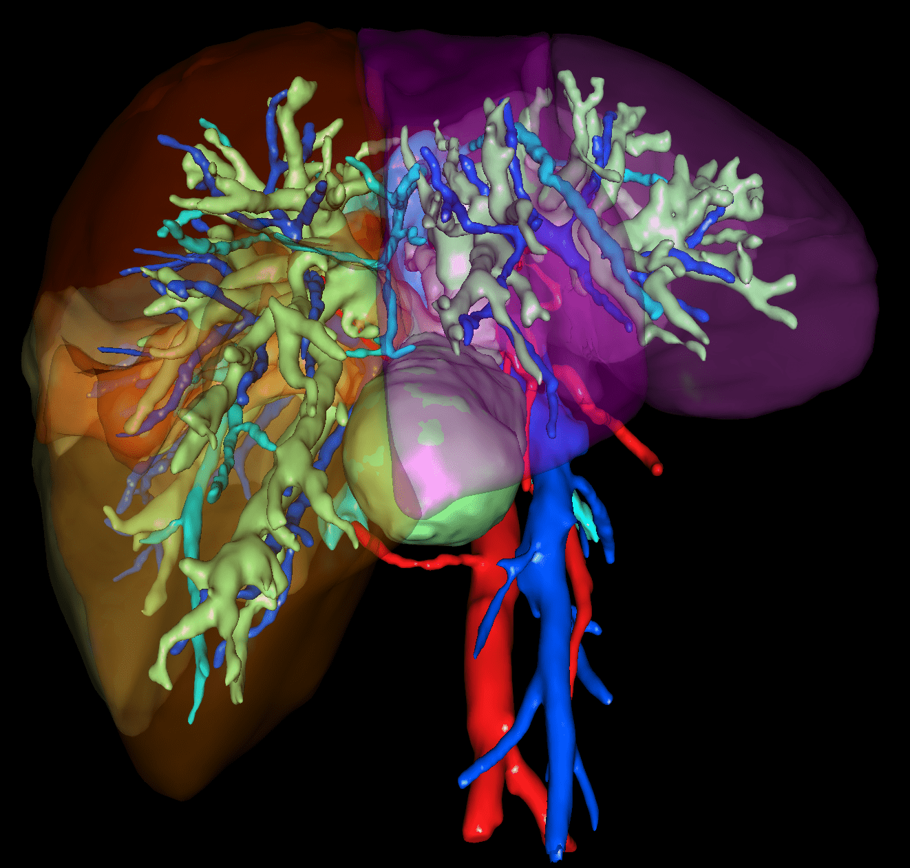 https://ircad-develop.b-cdn.net/liver-Booth-01-1.png